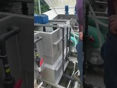 الفولاذ المقاوم للصدأ الآلي إزالة المياه متعددة القرص المسمار الصحافة مكدسة المسمار الجفاف